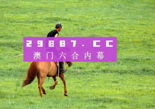 2024澳门精准正版资料63期，完美解答解释落实_3D49.59.77