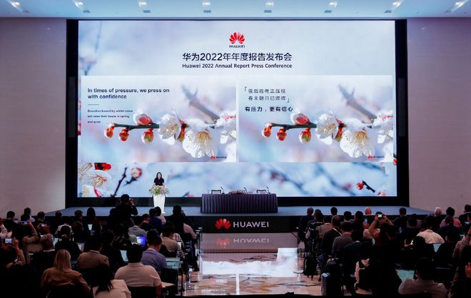 2024天天好开彩大会，重点解答解释落实_ios23.33.66