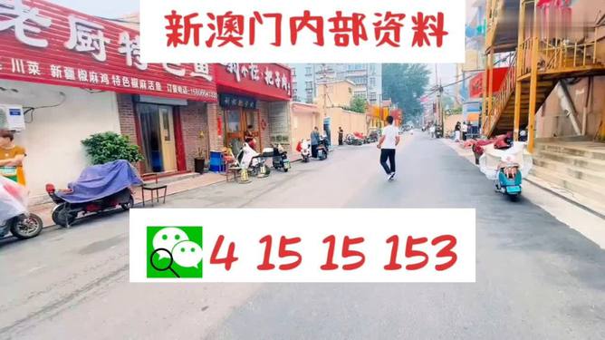 2024澳门天天开好彩大全，最新解答解释落实_iShop87.72.32