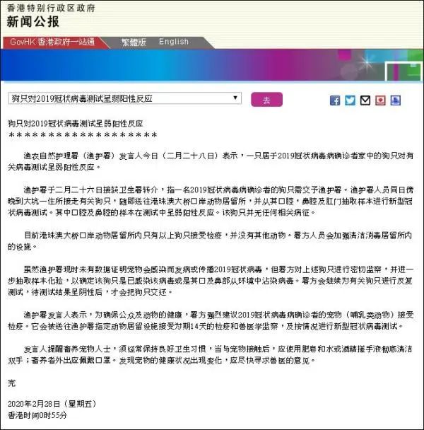 香港近十五期历史记录，经典解答解释落实_app92.28.67